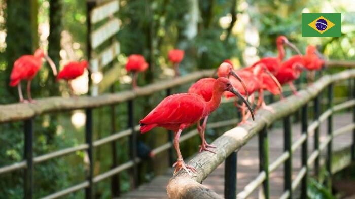 Parque das Aves
