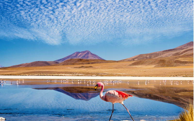Deserto do Atacama — Chile